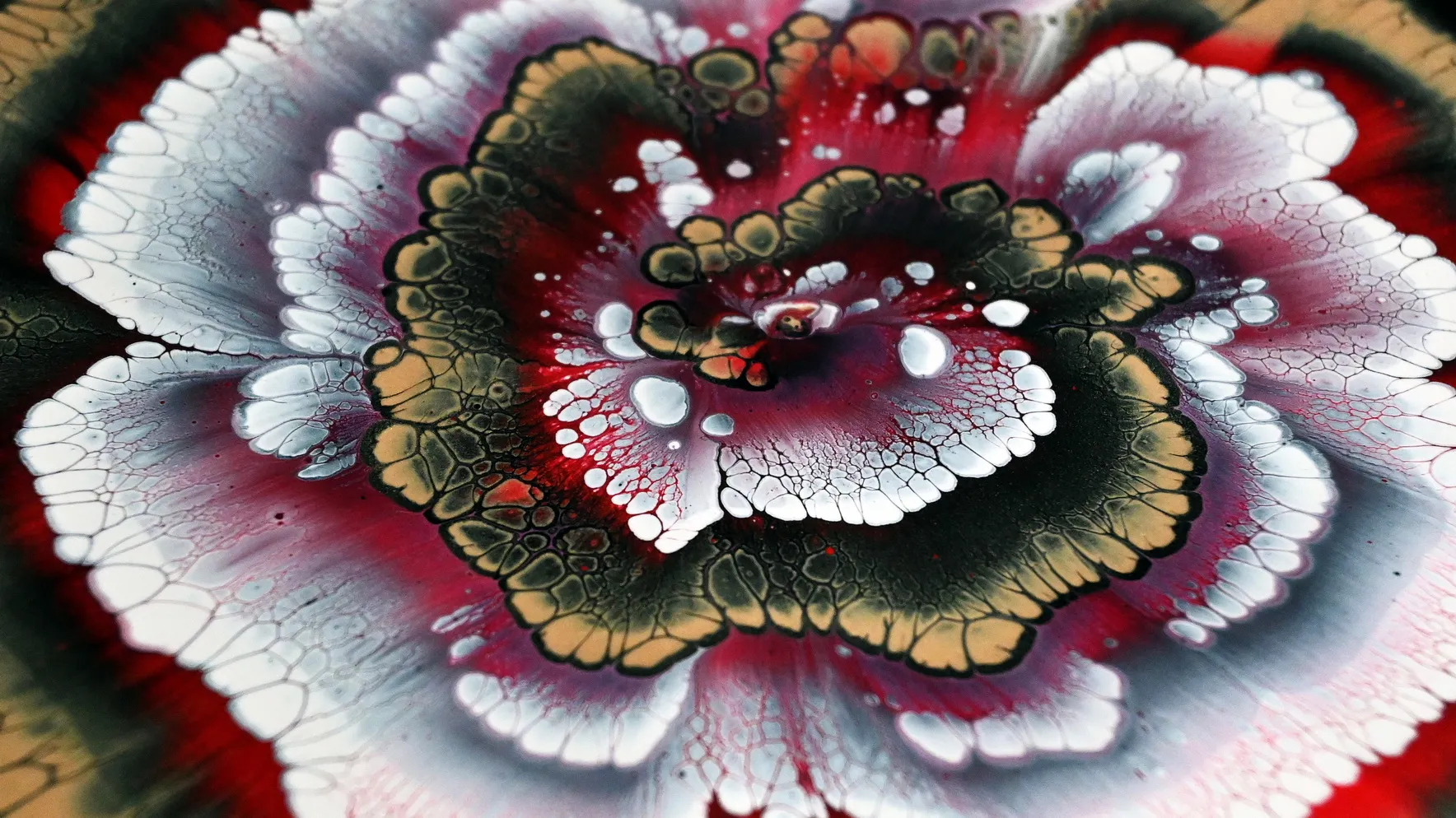 How To Paint A Flower Without A Brush ~ Acrylic Pour Painting ~ Painting Tutorial