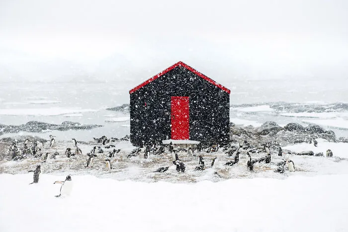 Lorraine Turci – 2nd Prize