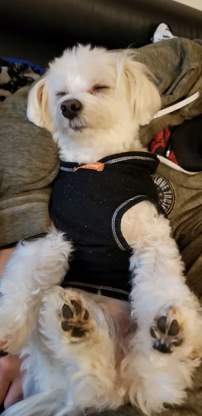Rough Day