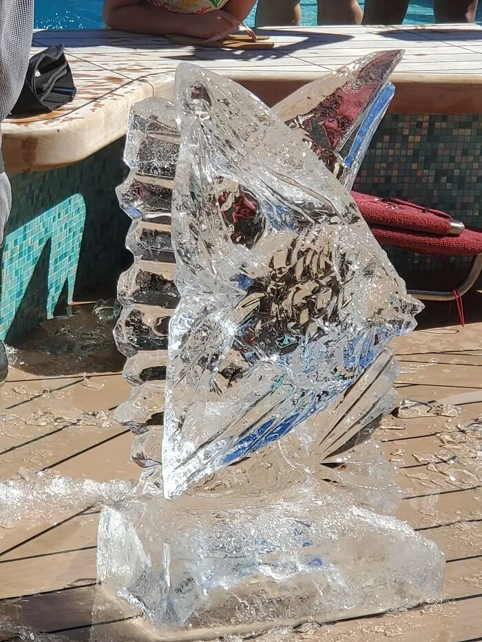Hard To See, But Thats A Fish