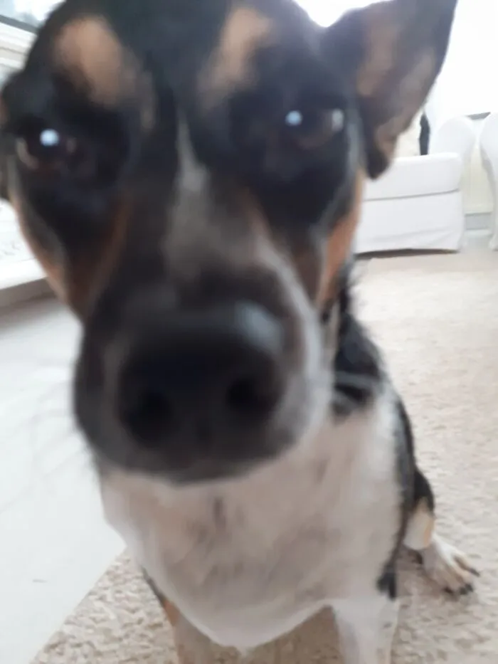 Luna :)