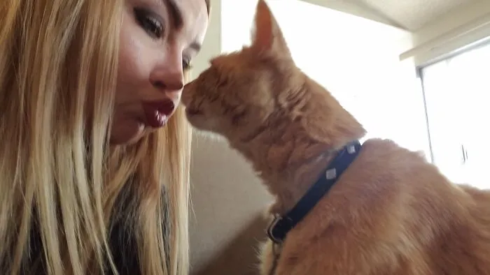 I Love My Tabby Boy!