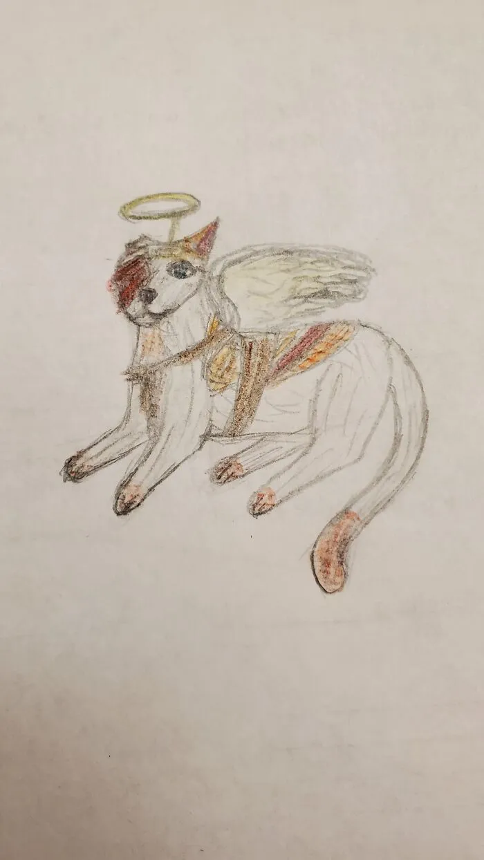 Did This A While Ago For Warriors Fanart- It Is Brightheart In An Angel Costume :3