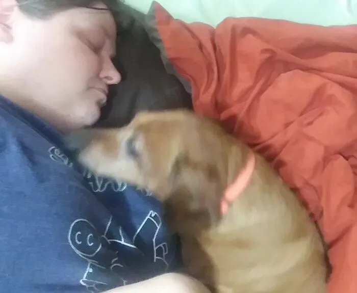 Buckeye The Mini Dachsund