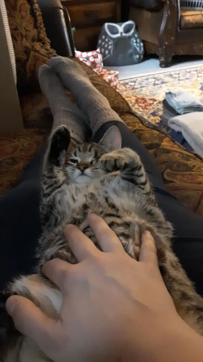 Squishy Floof.