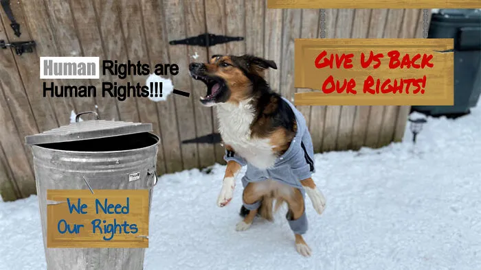 Human Rights Are Human Rights!
