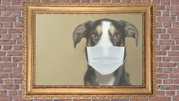 Well...i Tried...he Was Framed