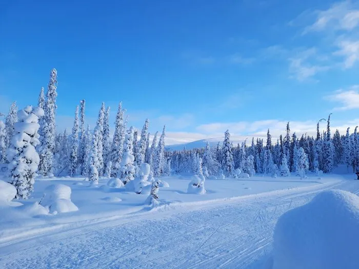 Skiing Trough White And Blue Scenery, February 2021, Äkäslompolo, Finland