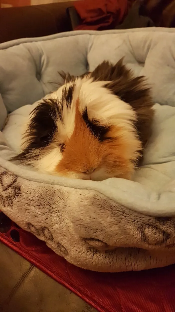 My Baby Boy