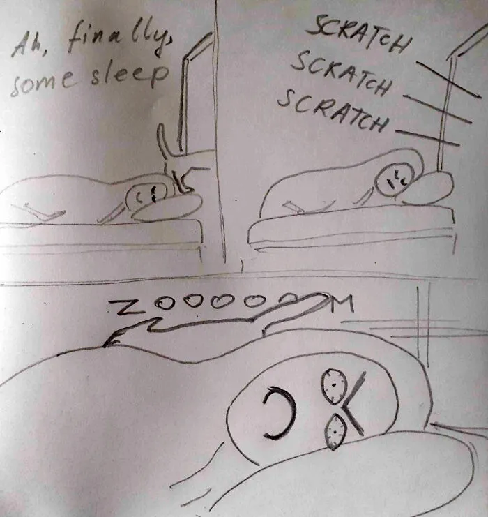 Cat Owners May Relate To This
