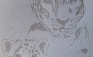 Hey Pandas, Draw A Snow Leopard! (Closed)
