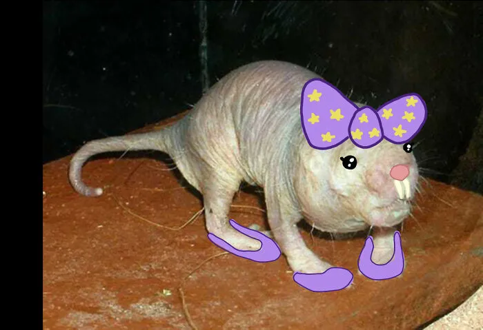 I Present To You..... Luna!!!!!!