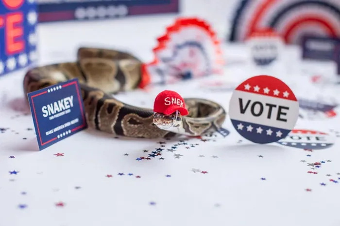  "Make America Snake Again!"