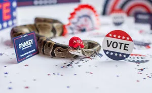 Turns Out, Hats On Snakes Are A Thing And There’s A Community Celebrating It (40 Pics)