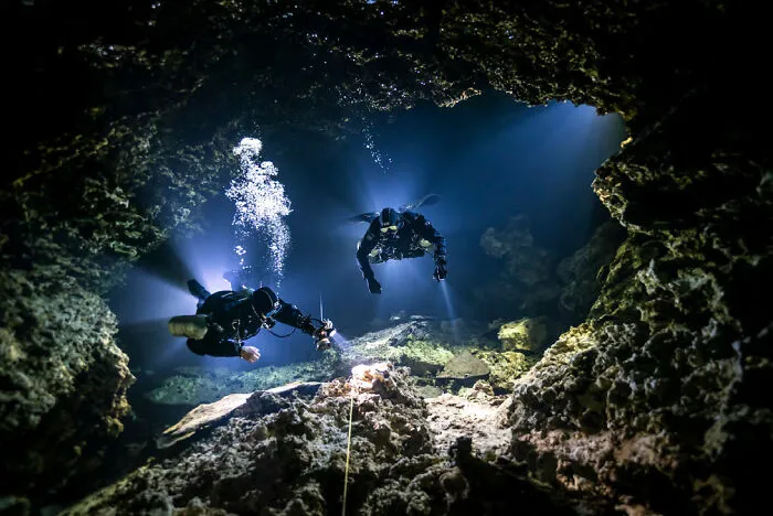 'Trying In' By SJ Alice Bennett (Mexico), 1st Place In 'Up & Coming', Most Promising British Underwater Photographer