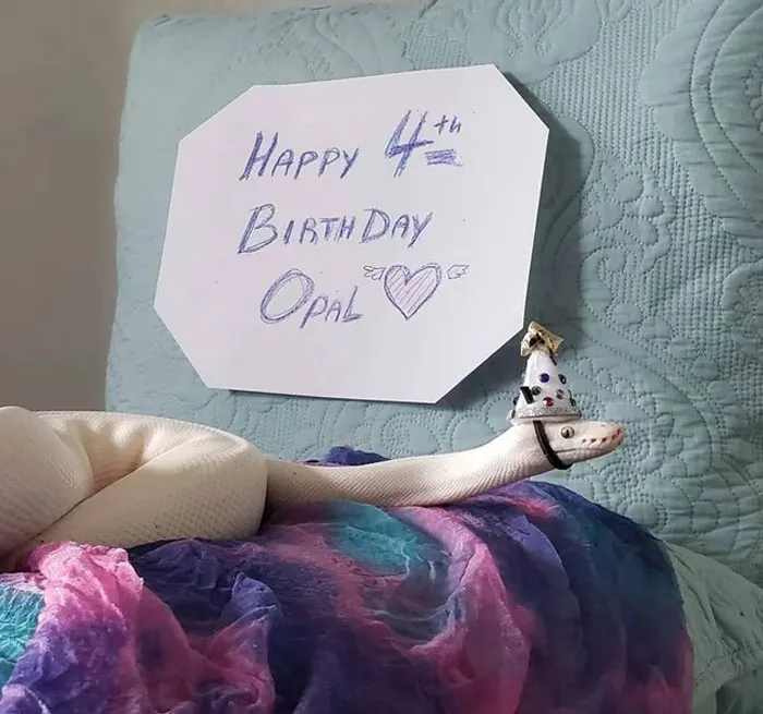  "Birthday Hat"