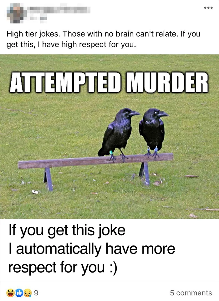 Haha... If You Don’t Get The Joke, You Are An Absolute Moron