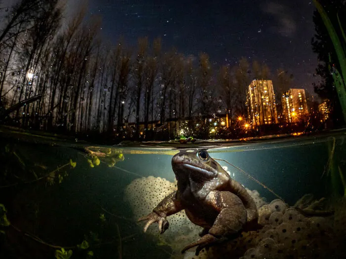 ‘While You Sleep’ By Mark Kirkland (United Kingdom), 1st Place In 'British Waters Wide Angle'