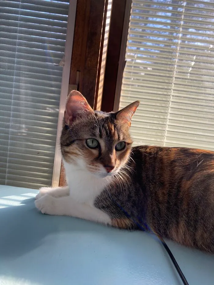 Introducing Iz, My Precious Babie!