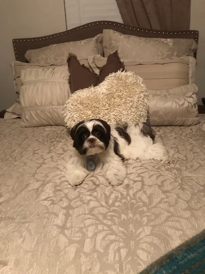 Lena, Lady Of The House