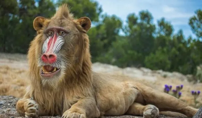 If Nala Fell In Love With Rafiki Instead Of Simba