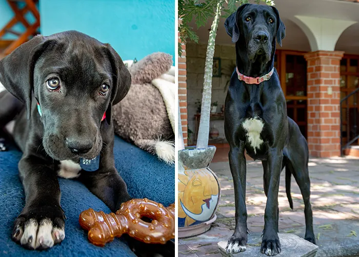 Tina When She Was Two Month Old And Then At Two Years Old
