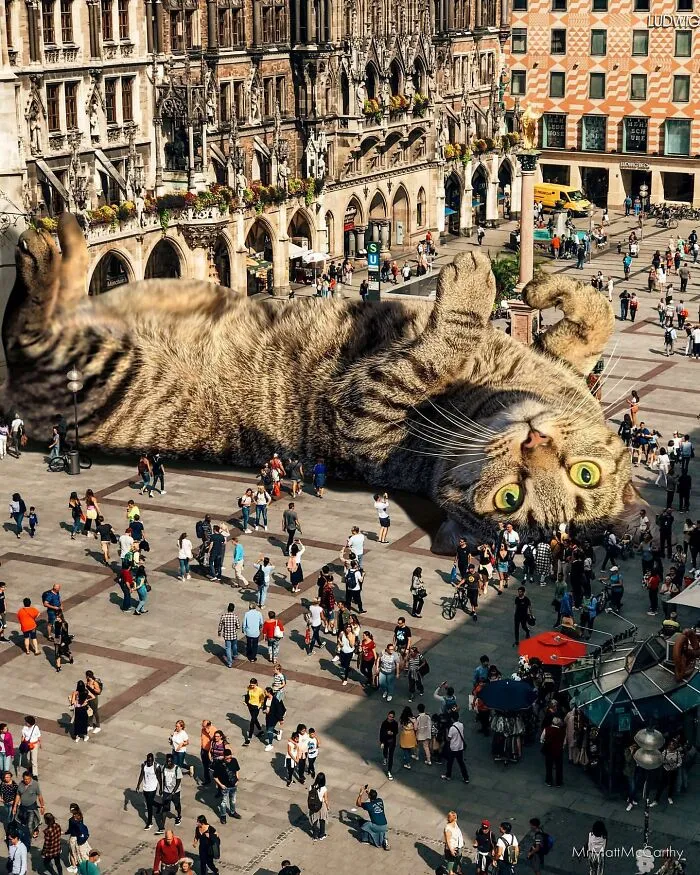 This Artist Uses Photoshop To Create Surreal Giant Cat Landscapes, Here Are His Best 30 Edits