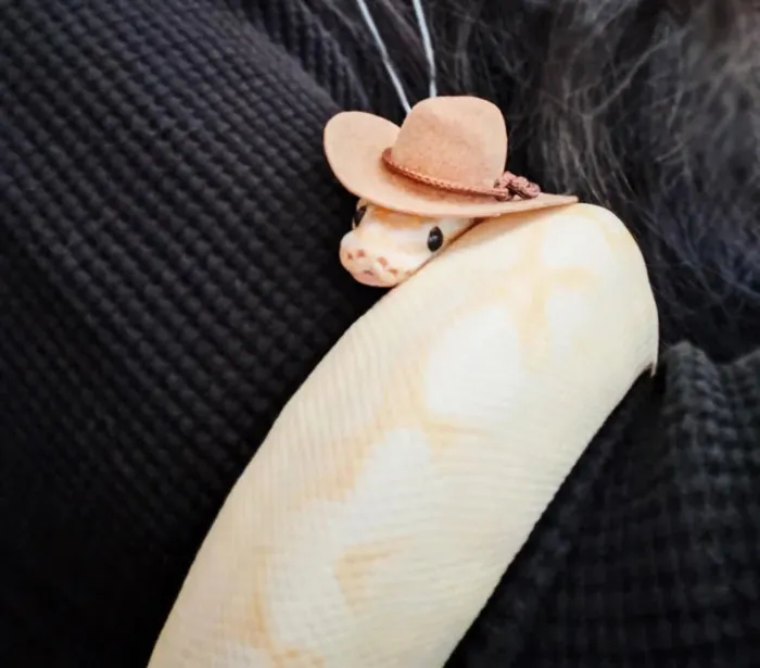  "You Just Gonna Scroll Past Without Saying Howdy?"