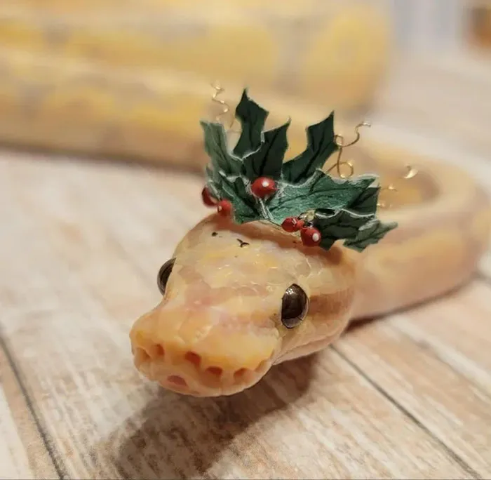  "Chill Winter Vibes With Chester"