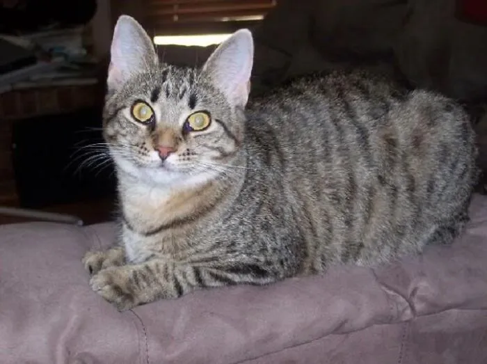 My 16th Birthday Present, Who Gave Me The Best Ten Years Of Love. Miss Her Every Day.