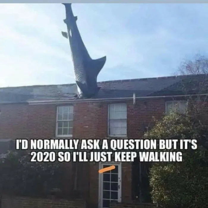 Nothing To See Here