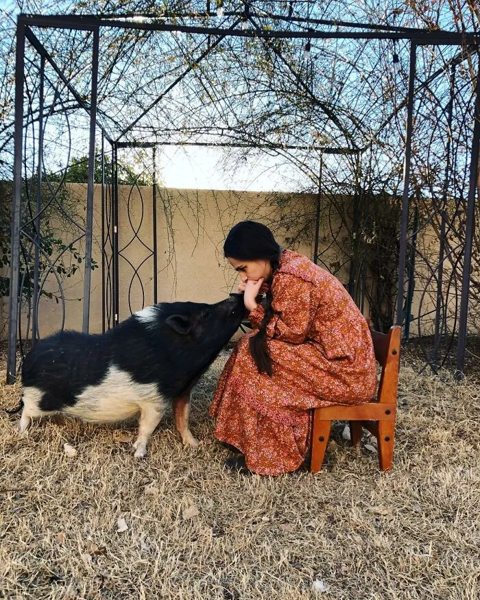 Quarantine Day 329: Pa Said If This Winter Holds Out Much Longer He’ll Need To Butcher The Hog