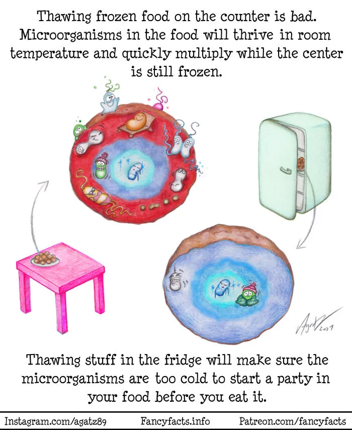 Thawing Food