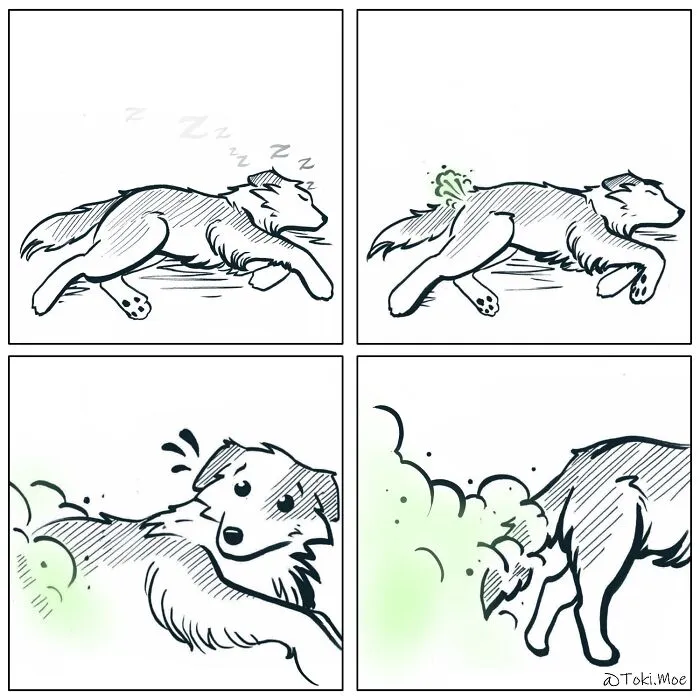 My 29 Comics That Show What It’s Like To Live With A Cat And A Dog