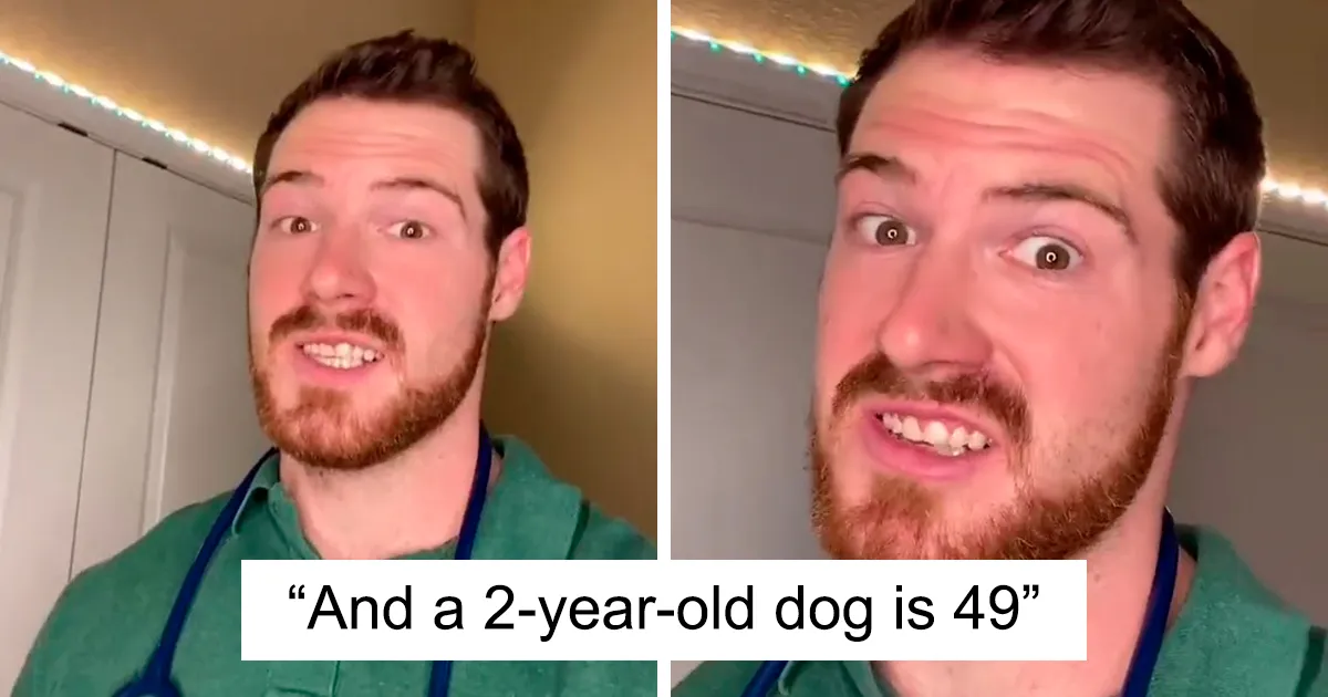 Vet Explains How To Count Dog Years And It Appears 1 Human Year Is Not Equal To 7 Dog Years