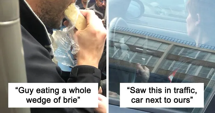 People Are Sharing The Most Bizarre Things They've Seen On Public Transport (45 Tweets)