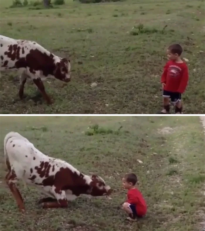 Just Two Curious Kids