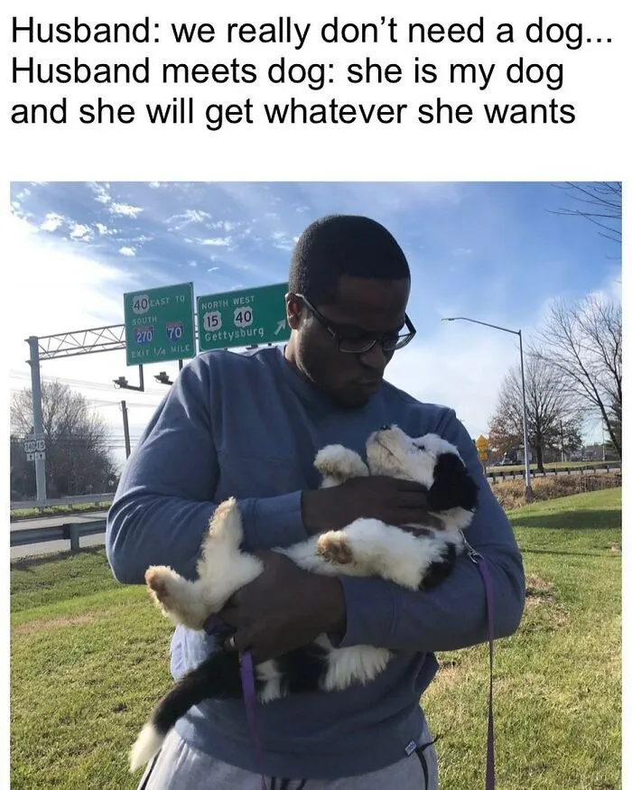 Husbands And Dads Be Like