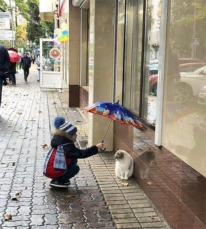 Kid Learning To Be A Good Person Early On