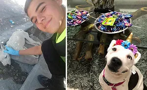 50 Times Kids Demonstrated Incredible Kindness With These Wholesome Acts (New Pics)