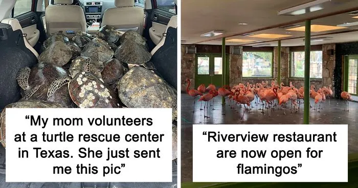 Texans Are Bringing Farm And Wild Animals Inside To Keep Them Warm During The Cold Wave (19 Pics)