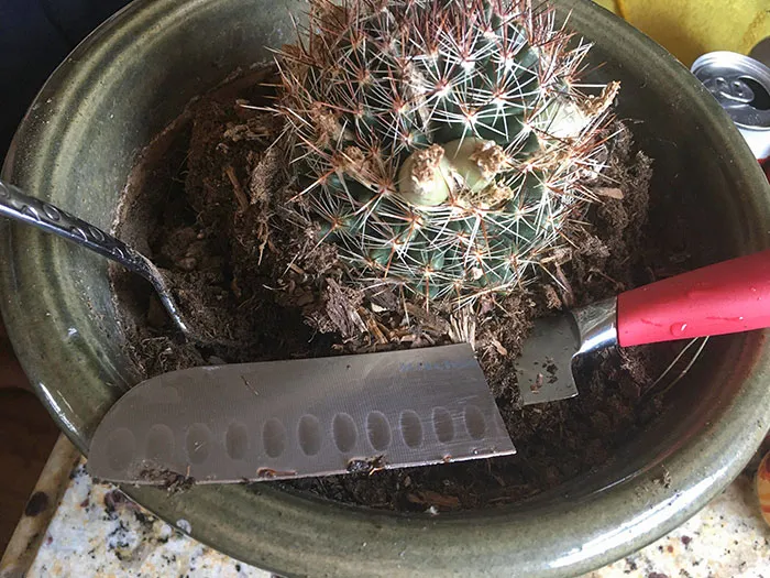 Mi marido utiliza mi cuchillo favorito como herramienta de jardinería