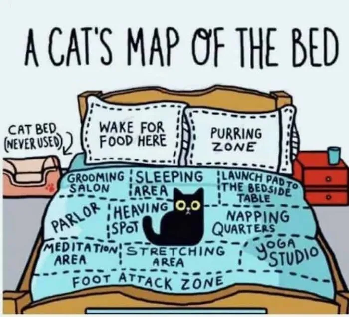 The Ultimate Map