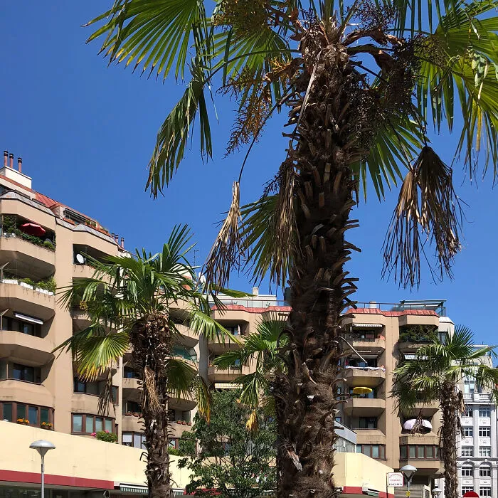 Almost Costa Brava