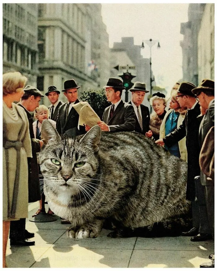 This Artist Uses Photoshop To Create Surreal Giant Cat Landscapes, Here Are His Best 30 Edits