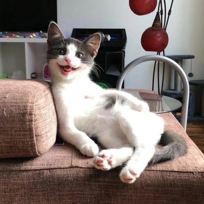 Cuando papá trae la comida