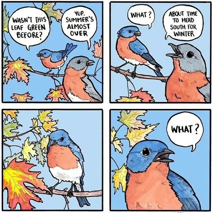 30 Funny Animal Comics That Show What Is Really Happening Out In The Wild By 'False Knees'