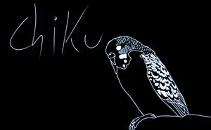 Hey Pandas, Draw Your Pets (Closed)
