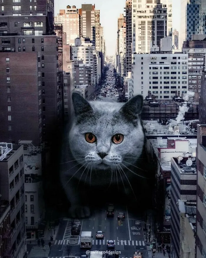 131 Surreal Photo Manipulations That Challenge Logic By Hansruedi Ramsauer
