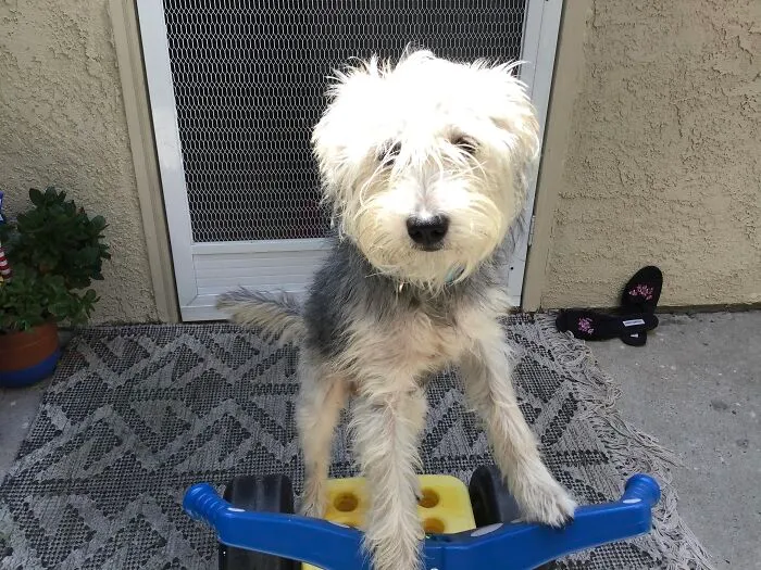 Meet Axel